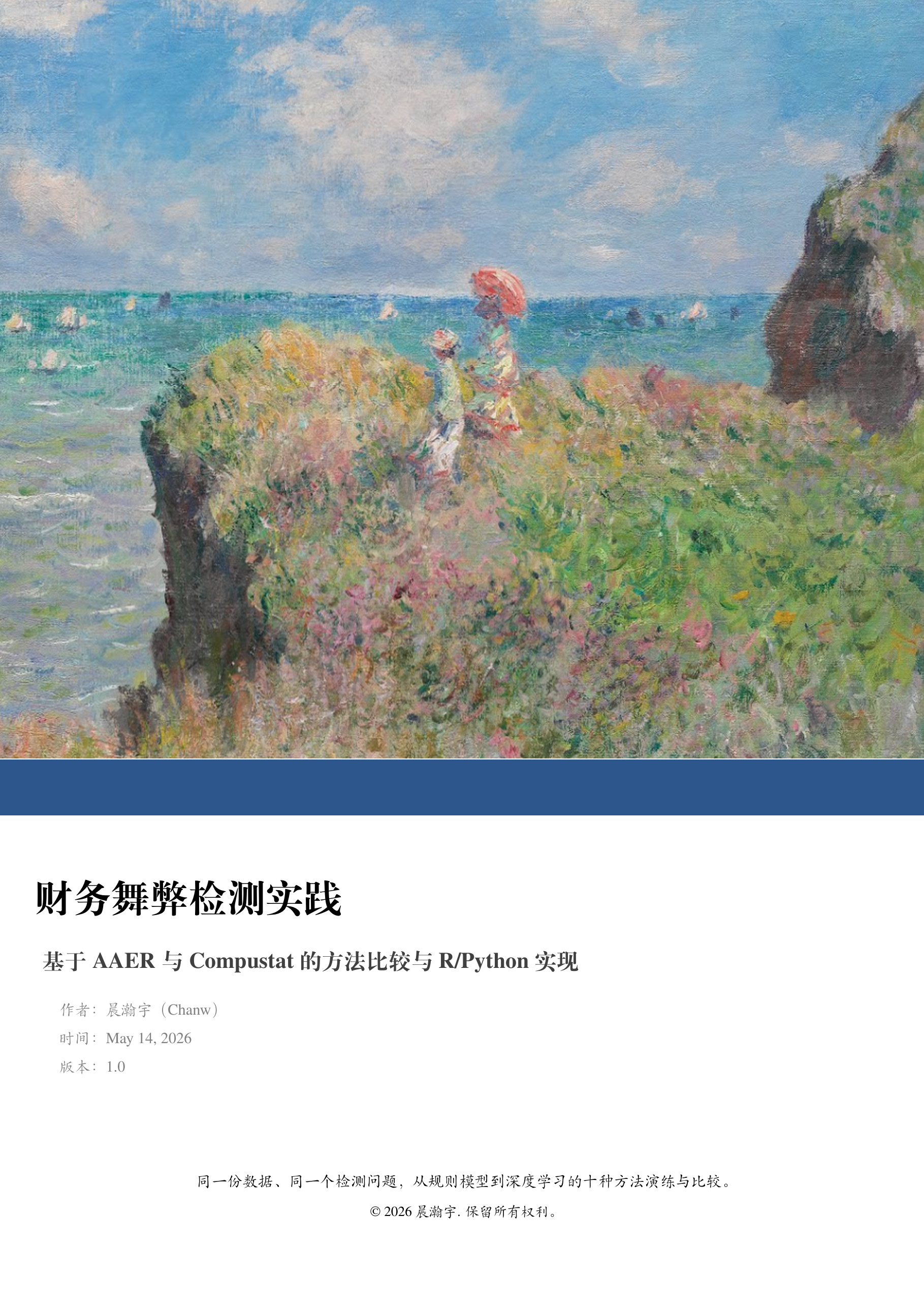 财务舞弊检测实践